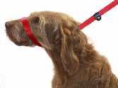 Dogs & Co Figure of 8 Dog Lead - Red