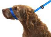 Dogs & Co Figure of 8 Dog Lead - Blue