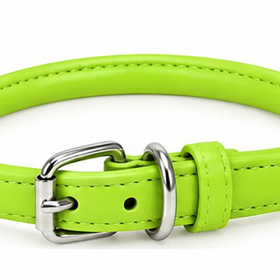 Rolled Leather Collars – Lime Green