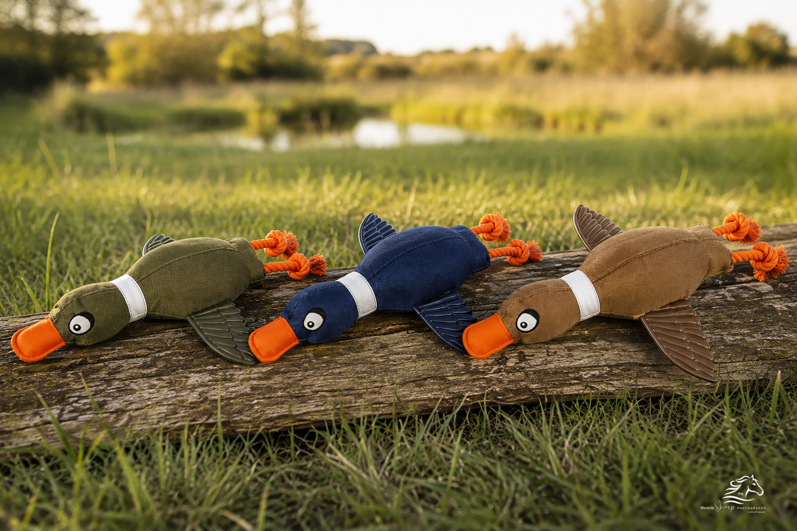 Throwing Duck with Rubber Wings Dog Toy
