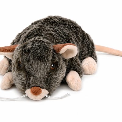 Ronnie the Rat Dog Toy
