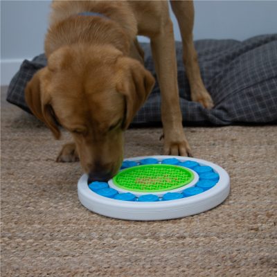 Puzzle Ring Interactive Dog Treat Puzzle