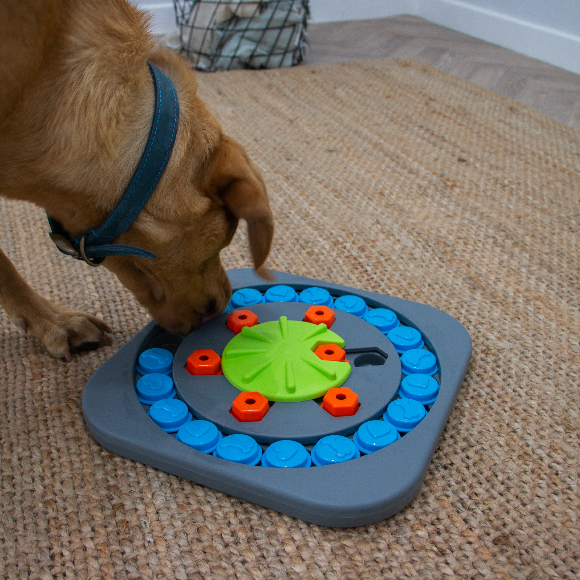 Puzzle Wheel Interactive Dog Treat Puzzle - Image 3