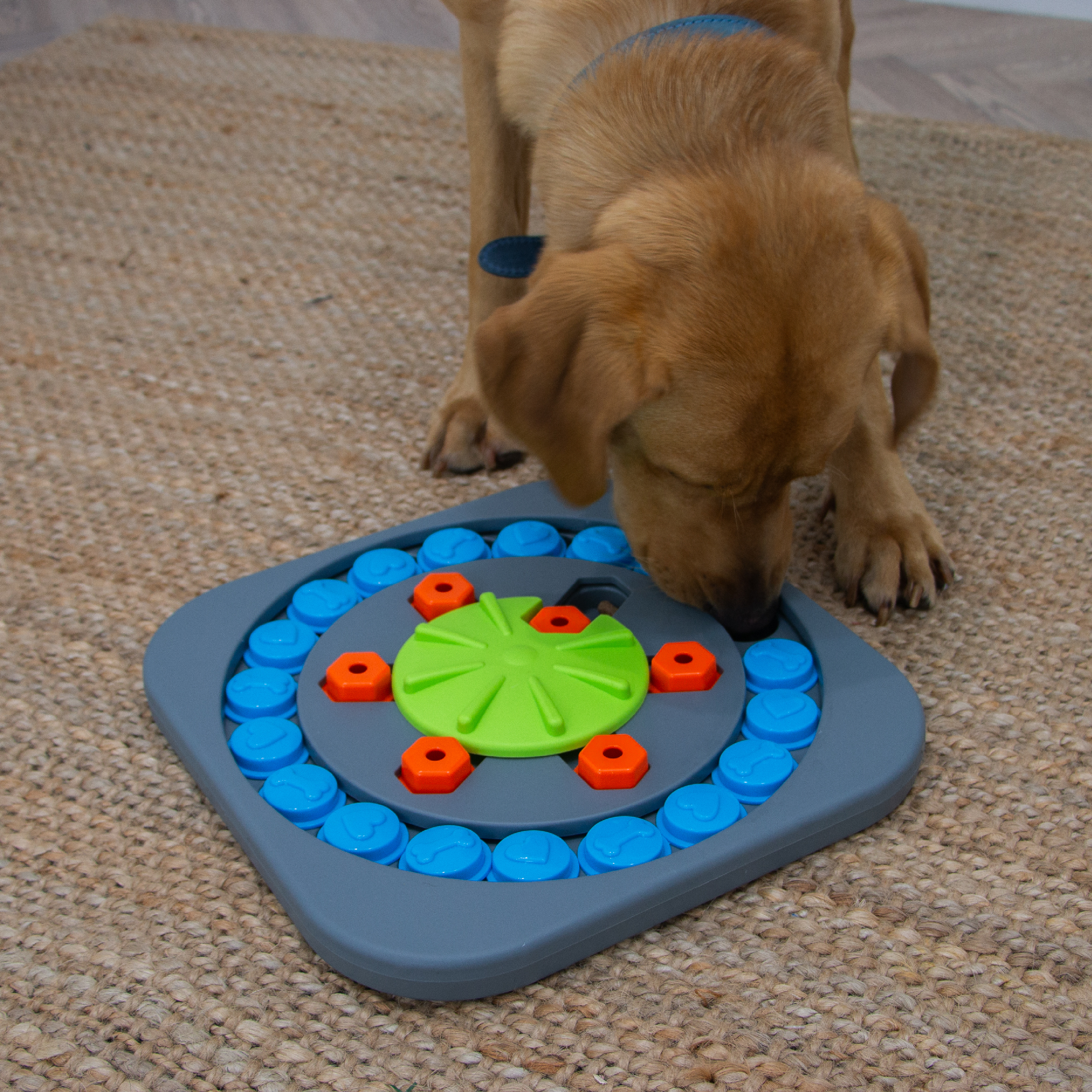 Puzzle Wheel Interactive Dog Treat Puzzle - Image 2