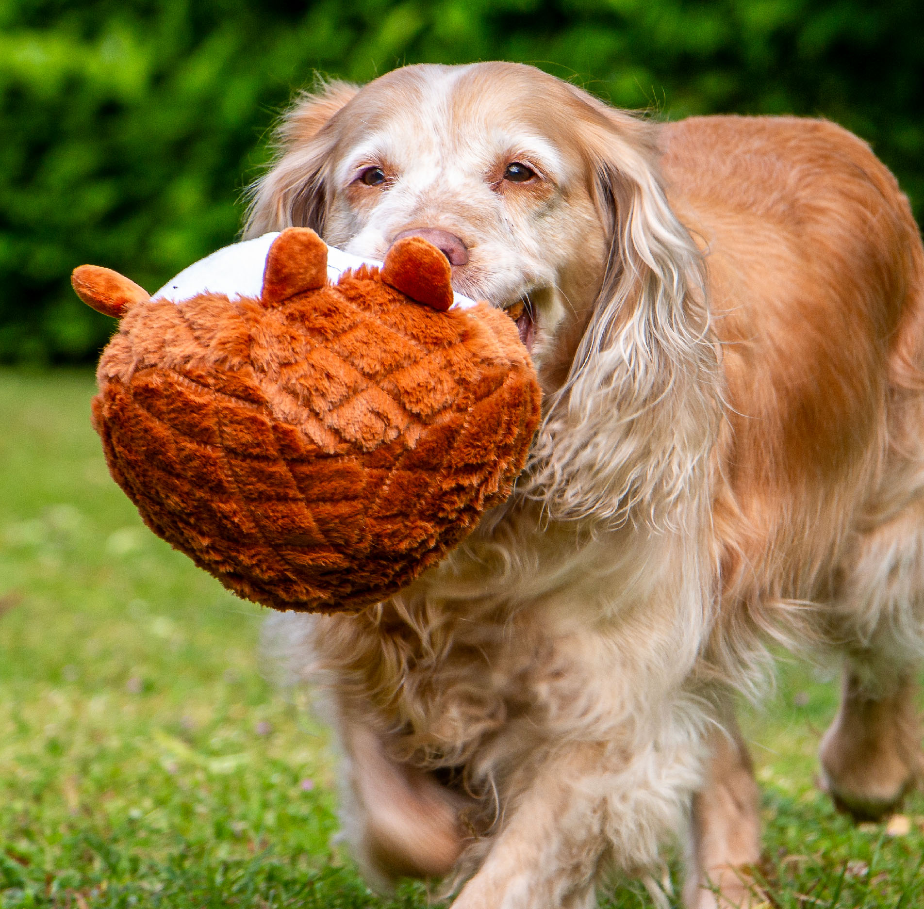 Woodland Creature Roundals Dog Toys - Image 4