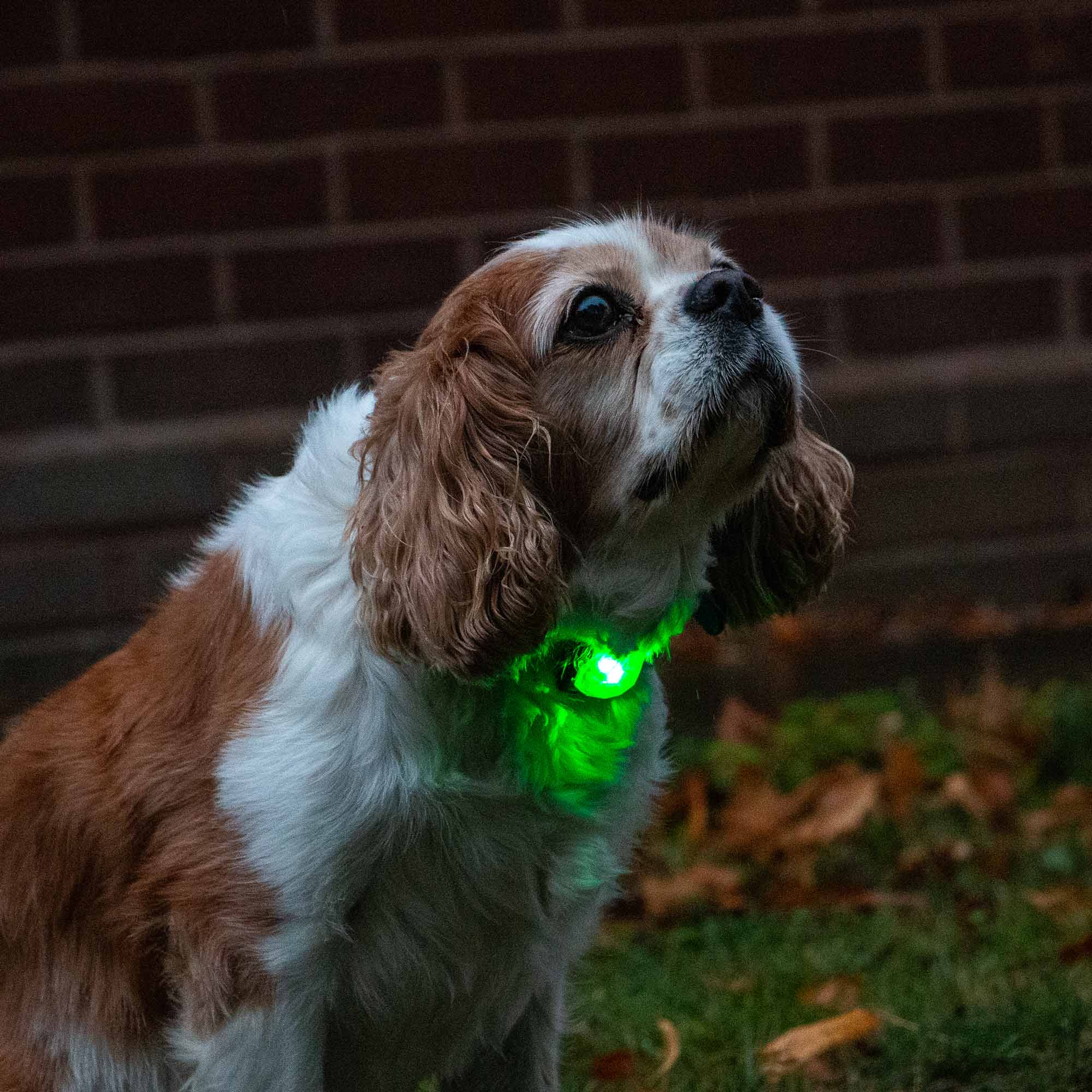 Rechargeable Blinker - Green - Image 2