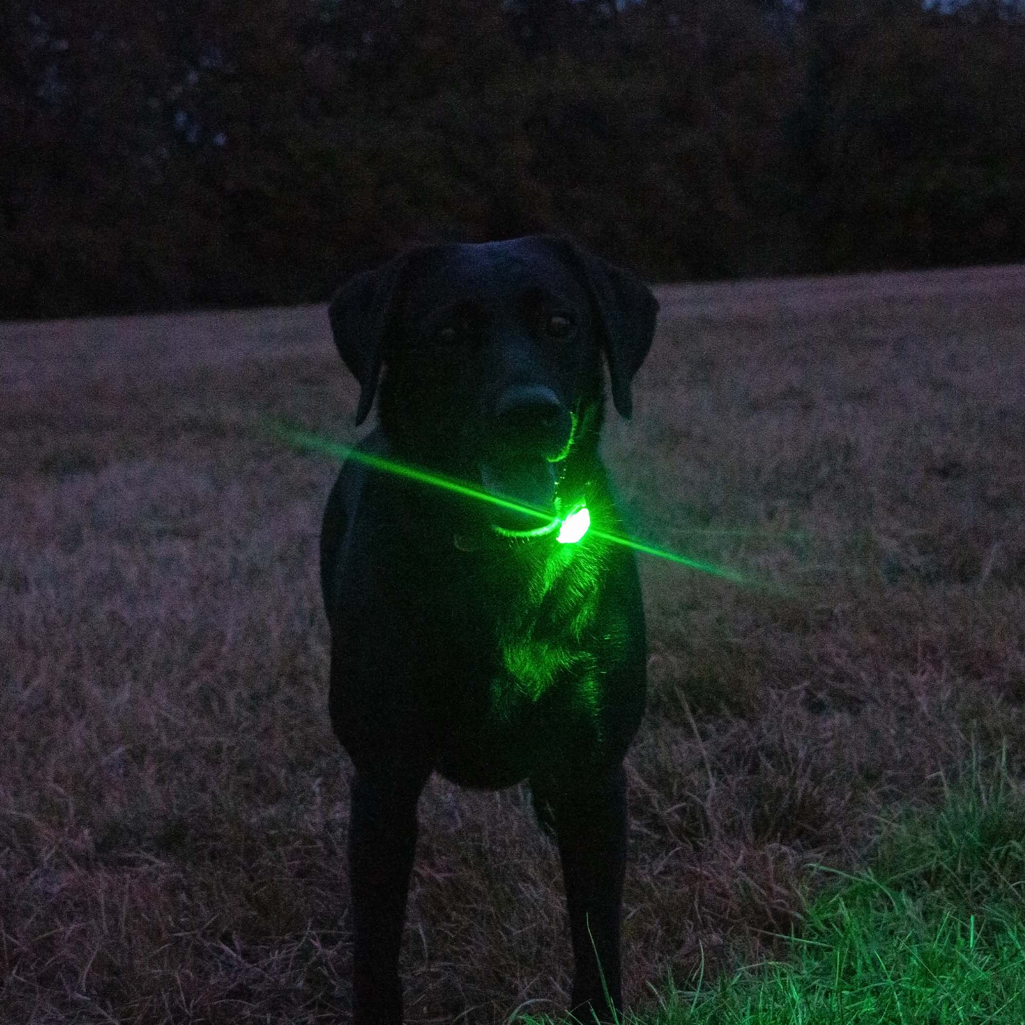 Rechargeable Blinker - Green - Image 3