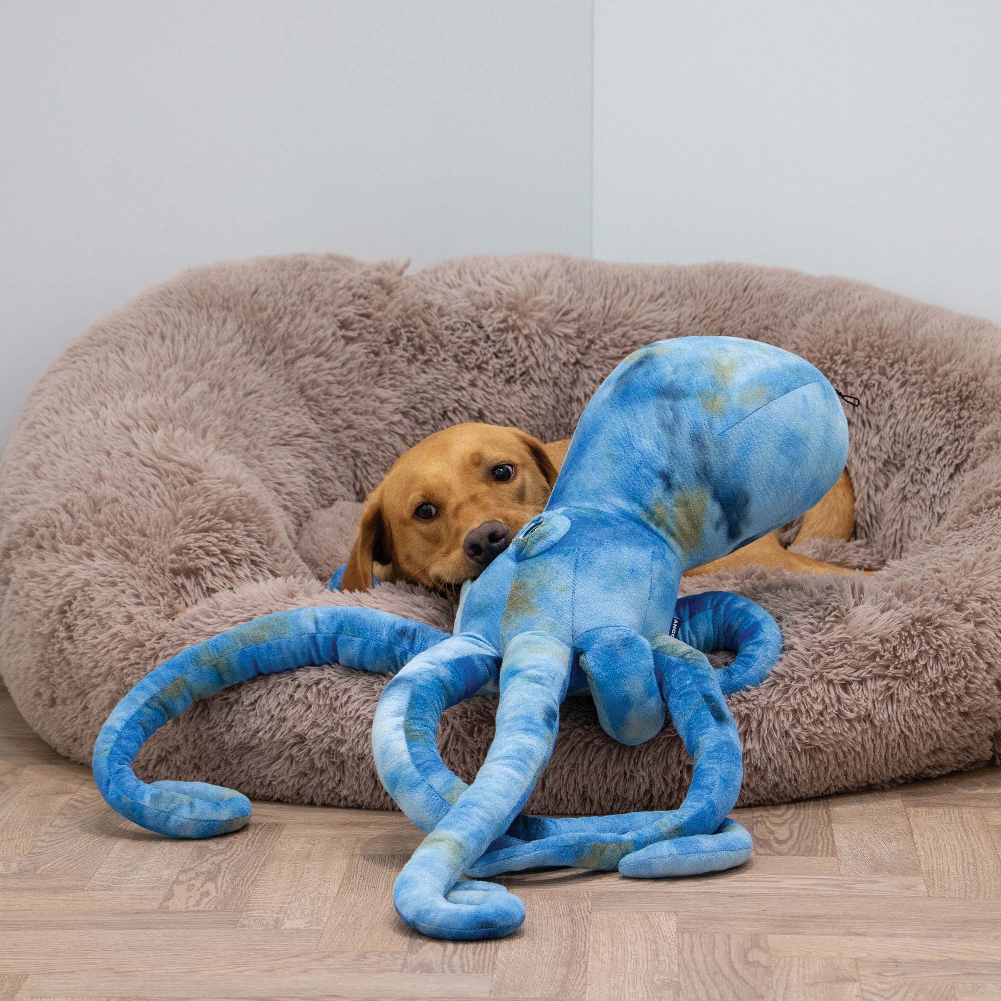 Supersized Giant Kraken Dog Toy - Image 4
