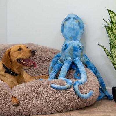 Supersized Giant Kraken Dog Toy