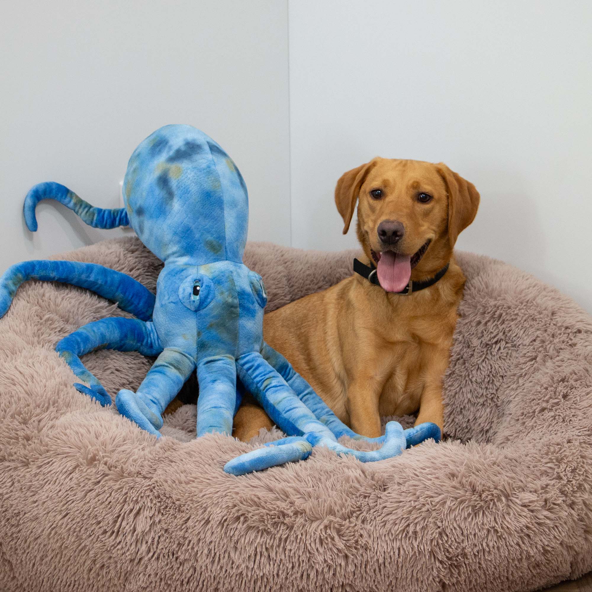 Supersized Giant Kraken Dog Toy - Image 5