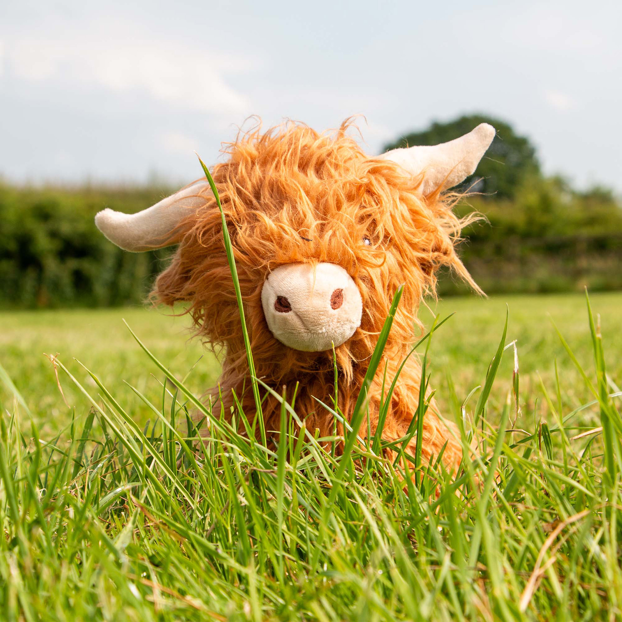Hamish the Highland Cow Dog Toy - Image 9