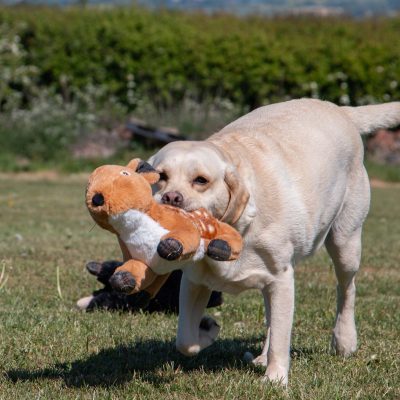 Large Baby Reindeer Dog Toy