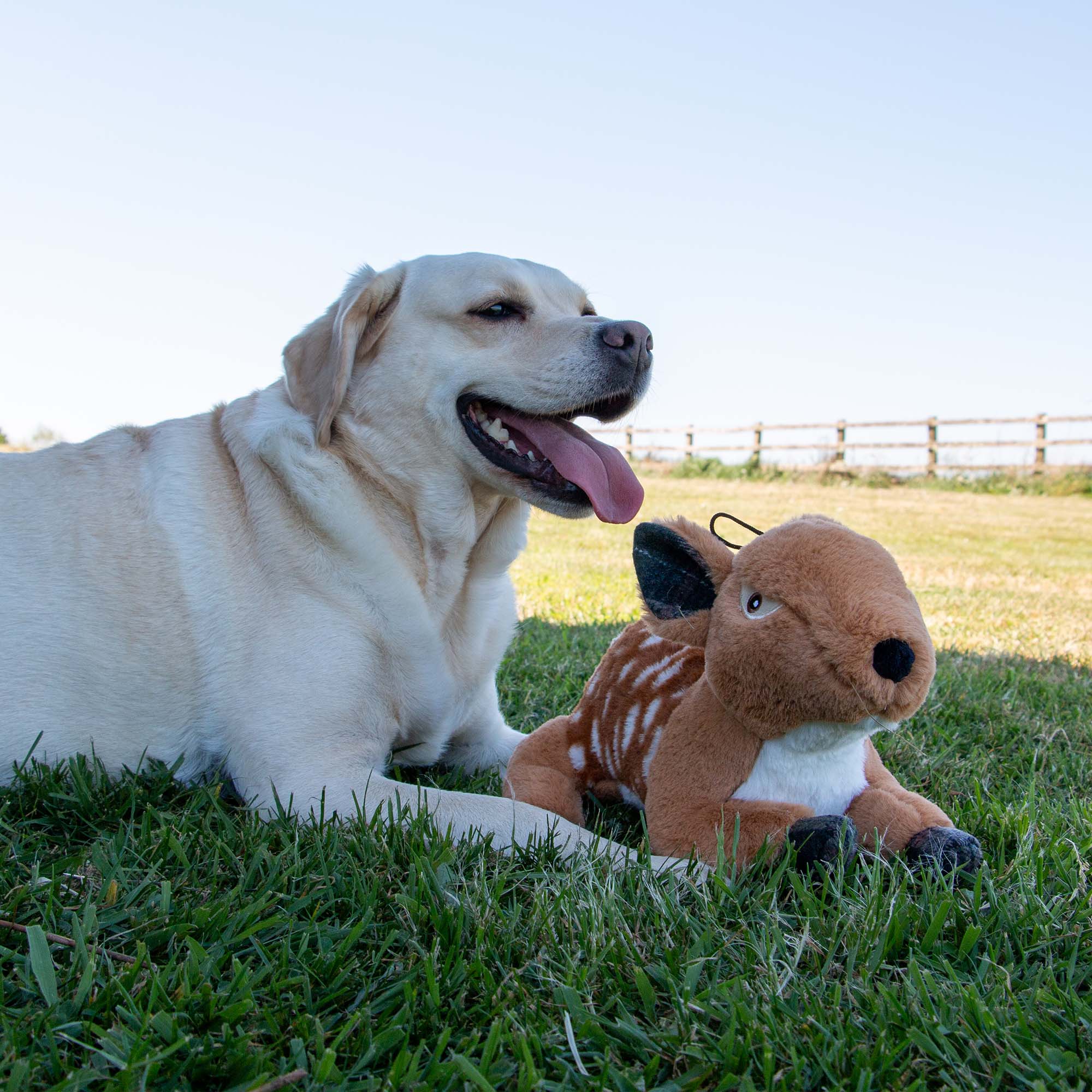 Large Baby Reindeer Dog Toy - Image 4