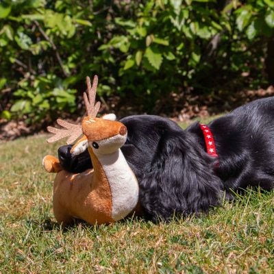 Little Deer Dog Toy