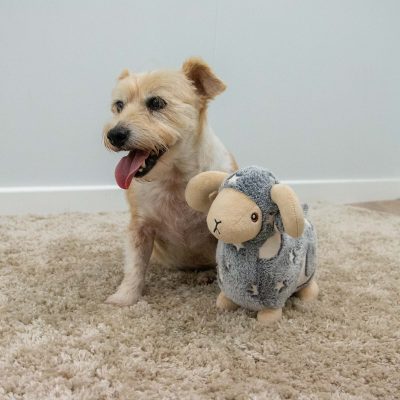 Glow in the Dark Ram Dog Toy