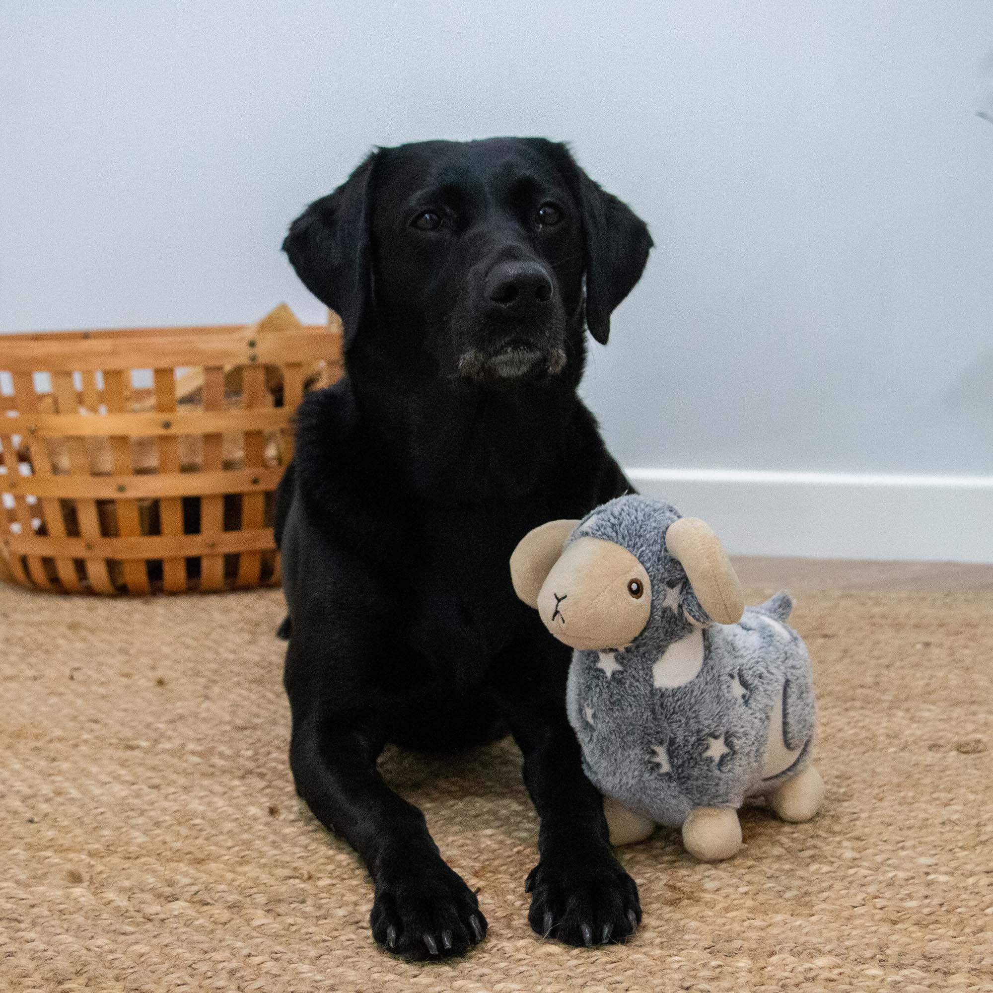 Glow in the Dark Ram Dog Toy - Image 4