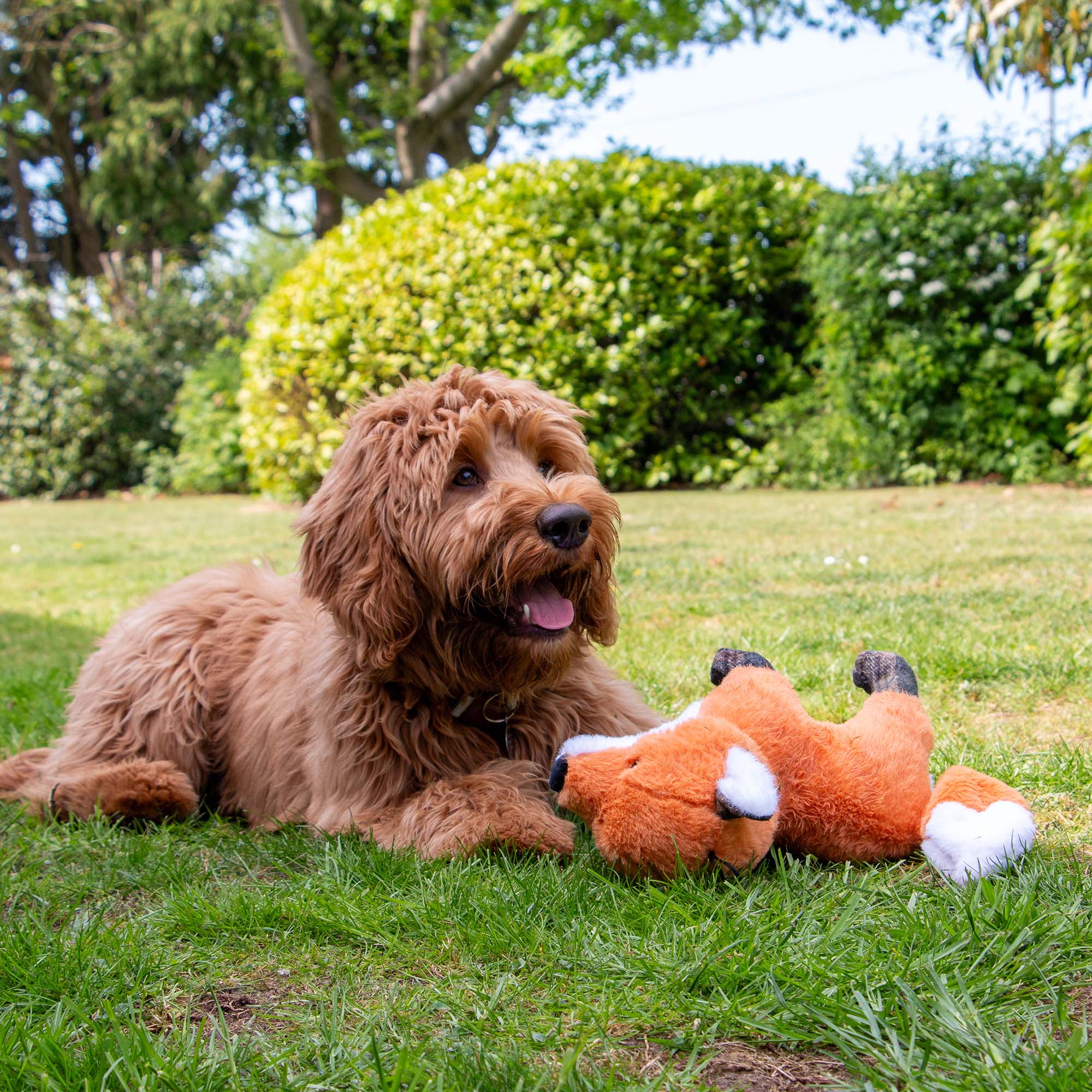 Silent Fox Dog Toy - Image 5