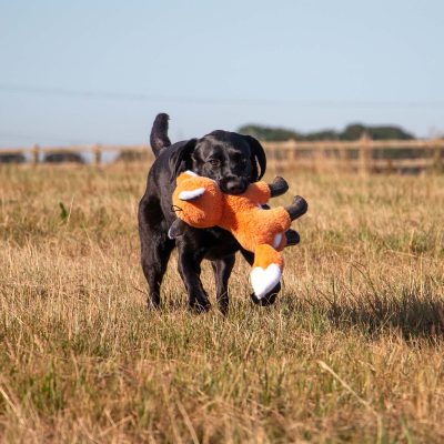Silent Fox Dog Toy