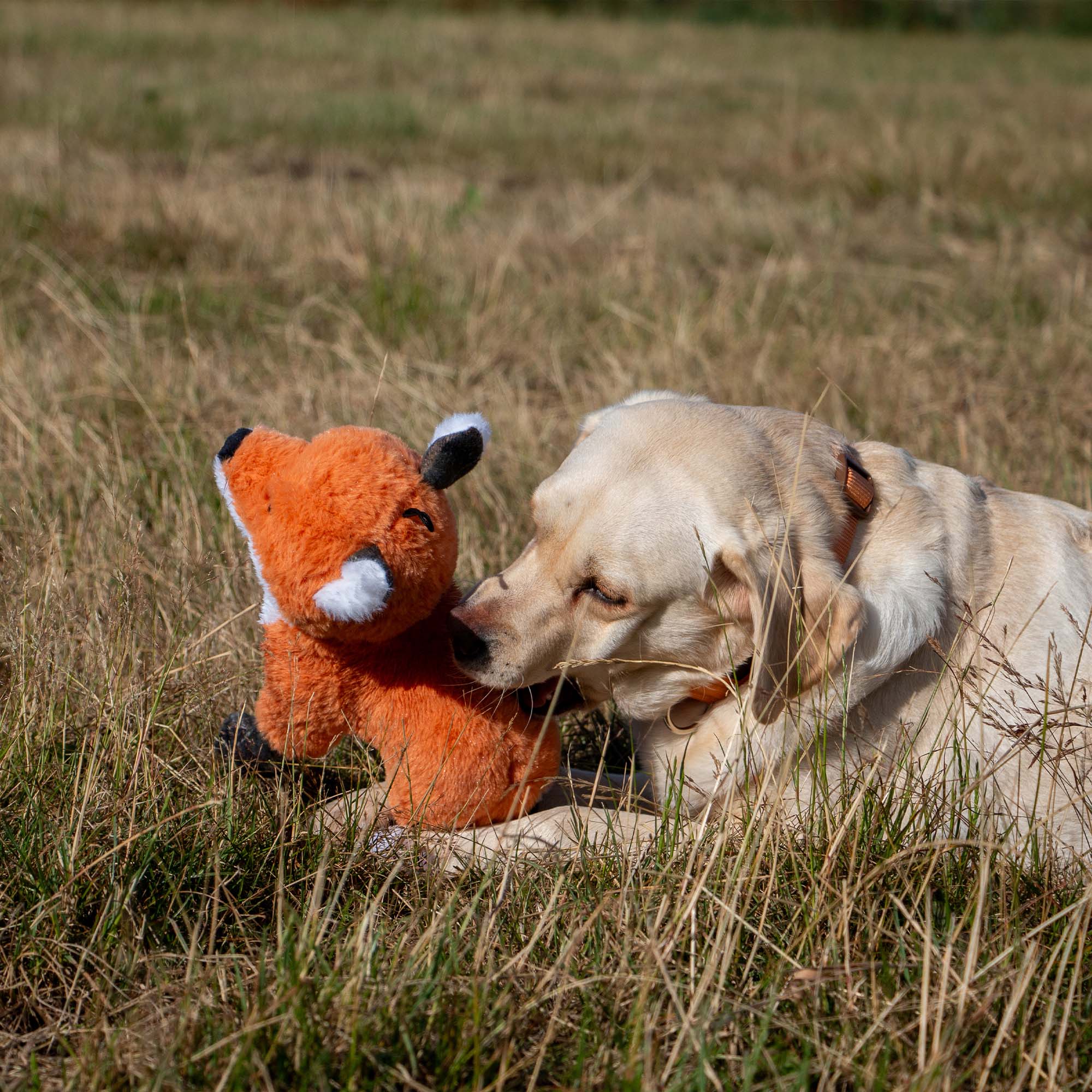 Silent Fox Dog Toy - Image 4