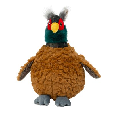 Plump Pheasant Dog Toy
