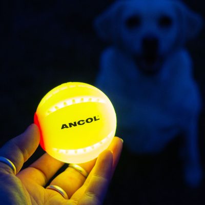 LED USB BALL