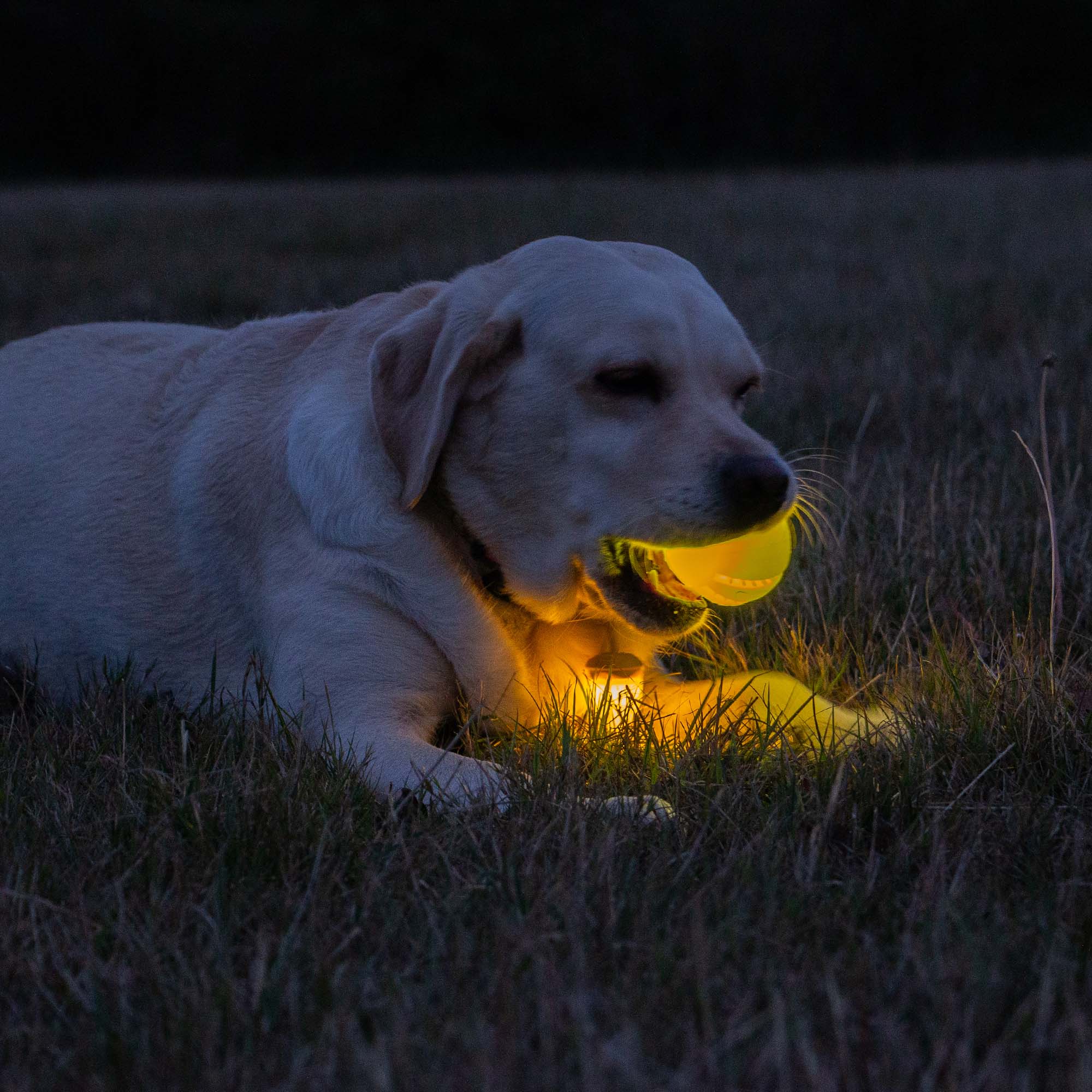 LED USB BALL - Image 3