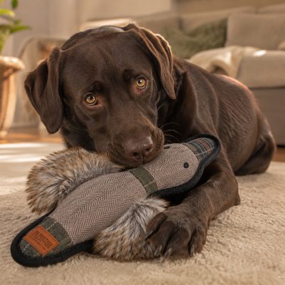 Tweed Duck Dog Toy