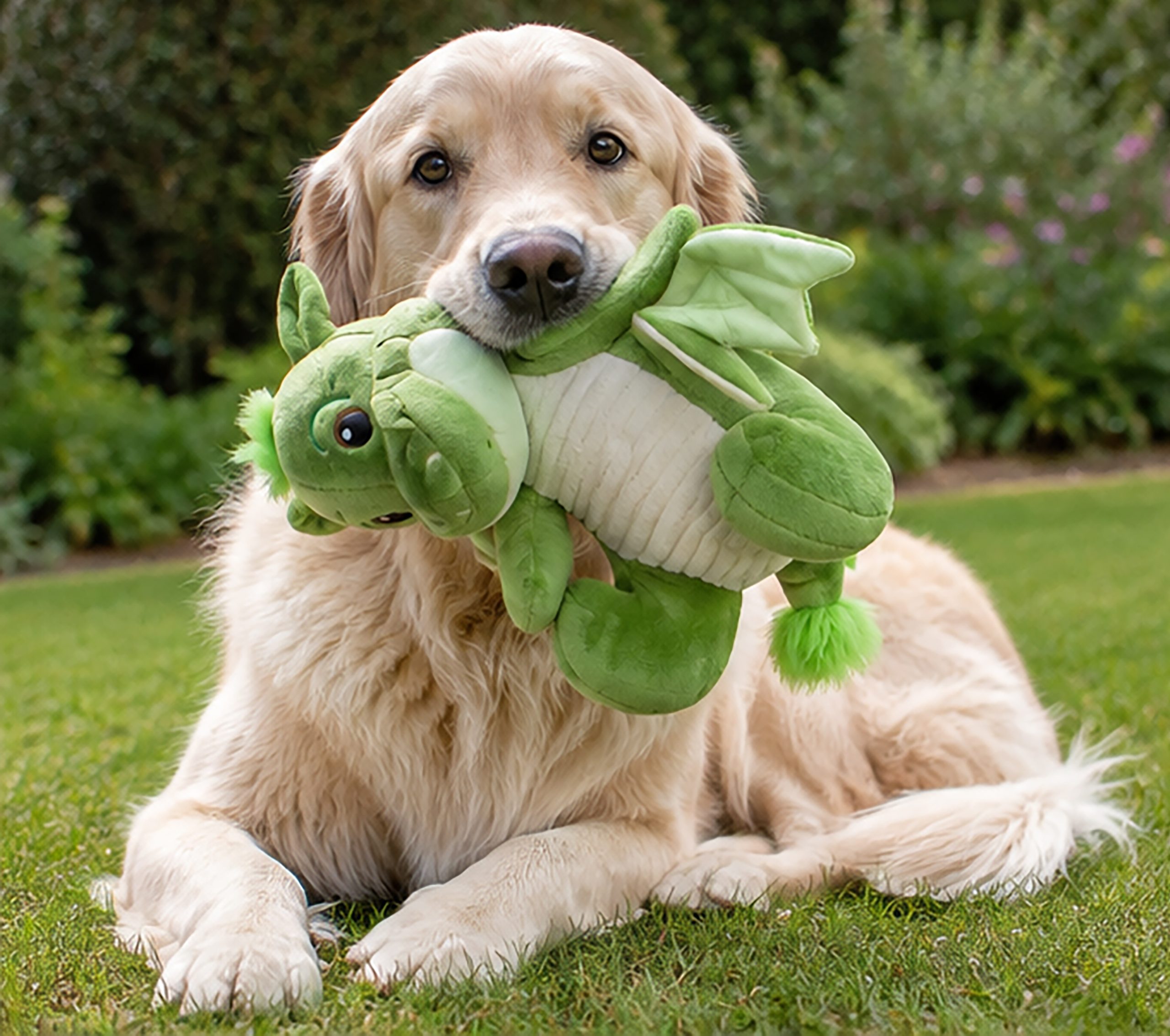 Dragon Dog Toy - Image 8