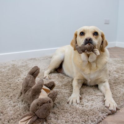 Kanga & Roo 2-1 Dog Toy