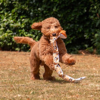 Super Snake Dog Toy