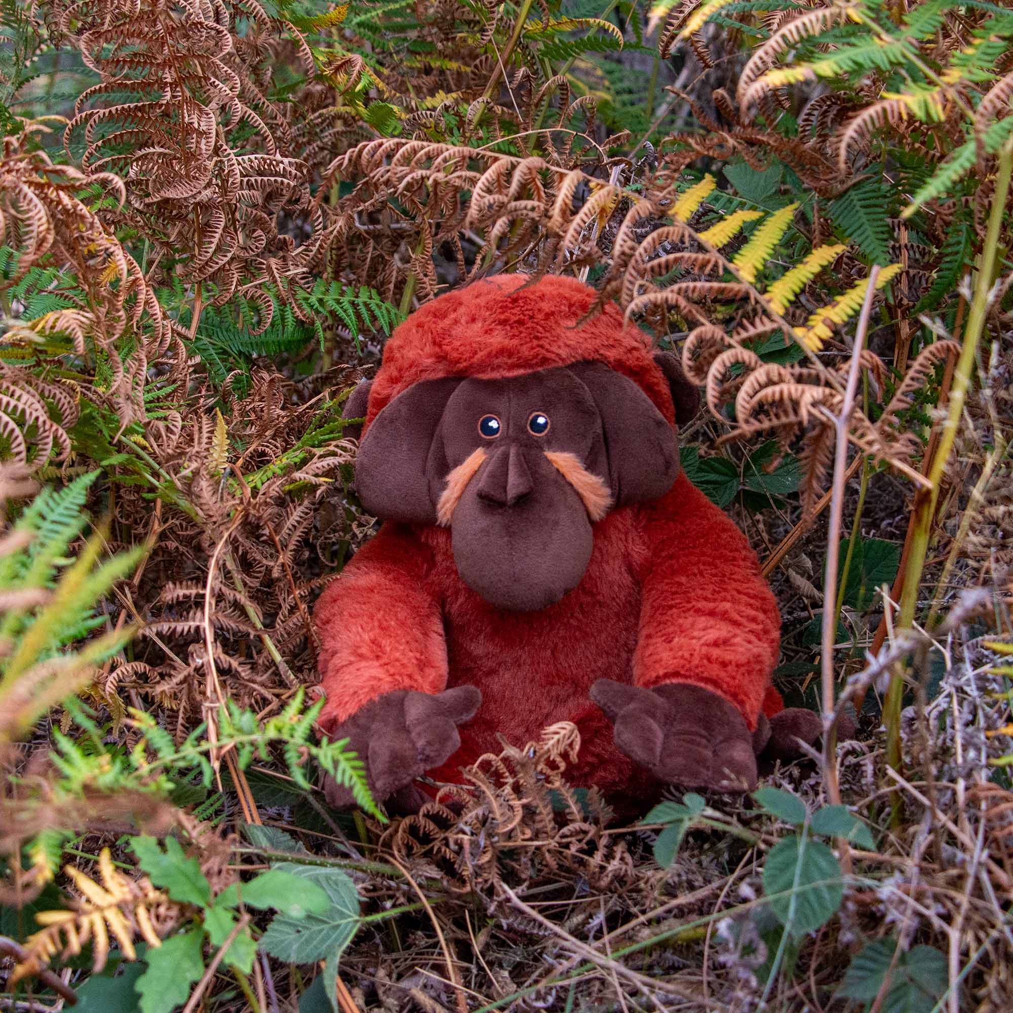Ollie the Orangutan Eco Dog Toy - Image 2