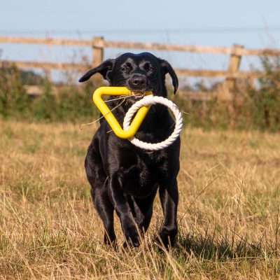 Ropey Triangle Dog Toy