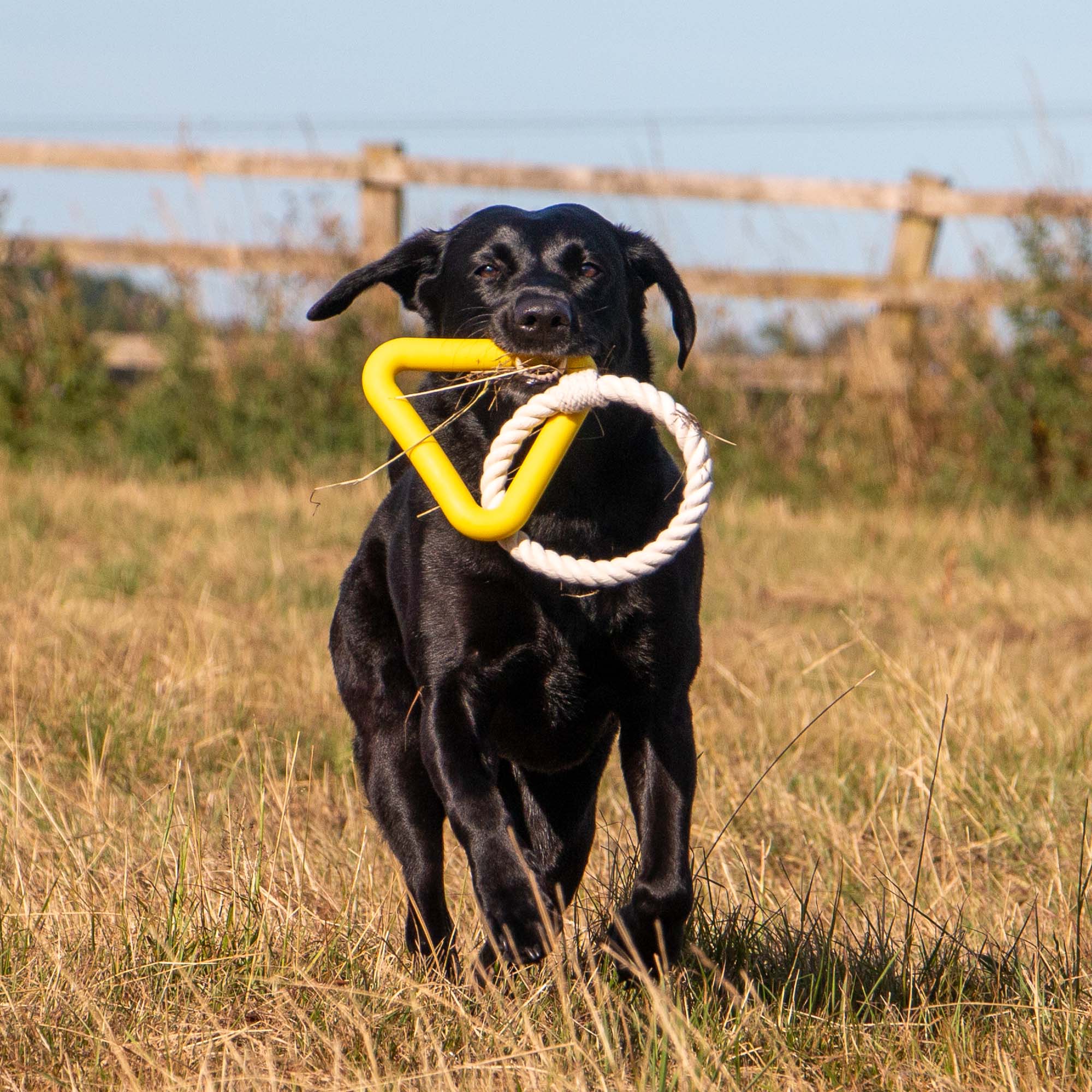 Ropey Triangle Dog Toy - Image 2