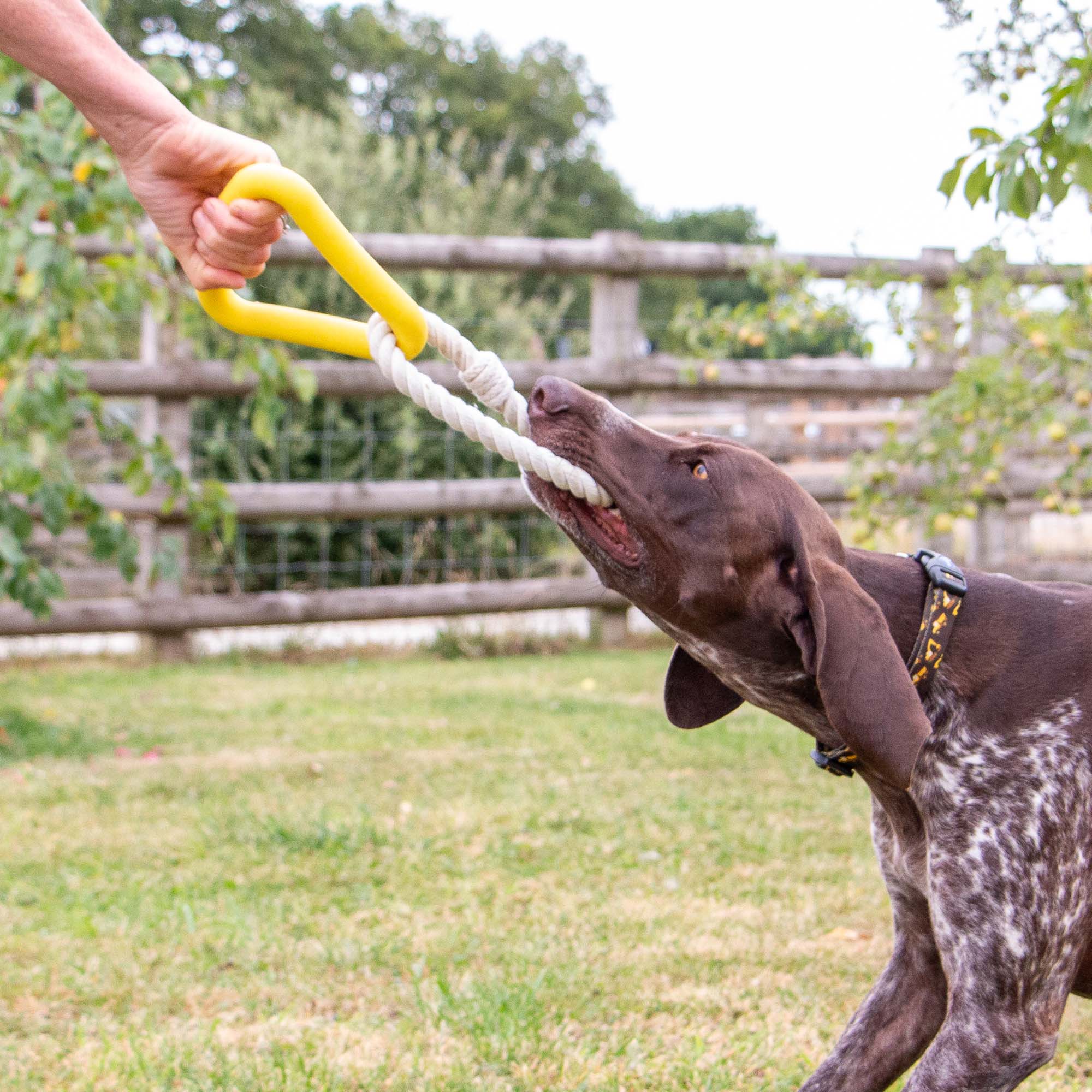 Ropey Triangle Dog Toy - Image 3