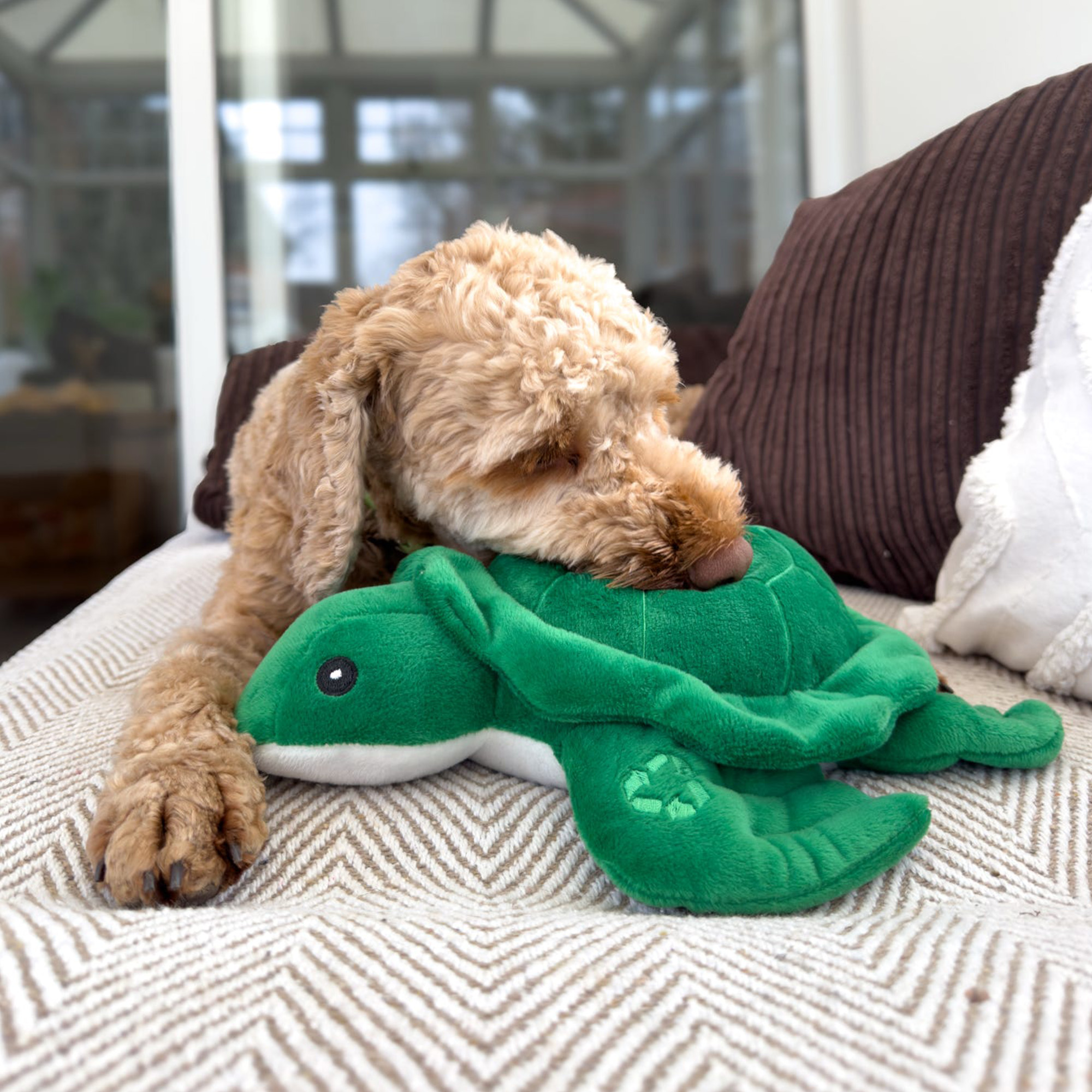 Tommy the Turtle Eco Dog Toy - Image 3