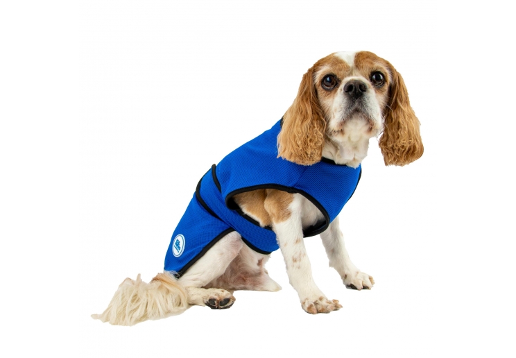 Dog Cooling Coats