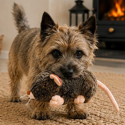Ronnie the Rat Dog Toy