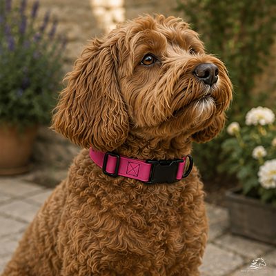 Pink Biothane Dog Collars