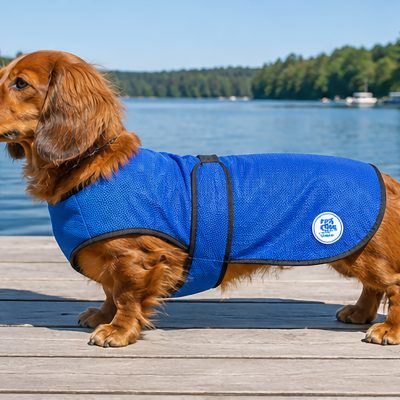 Dog Cooling Coats