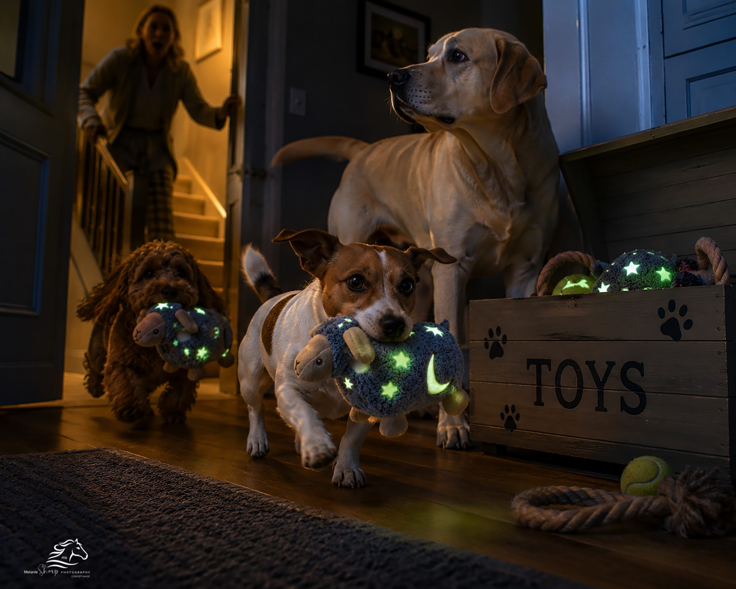 Glow in the Dark Ram Dog Toy - Image 5